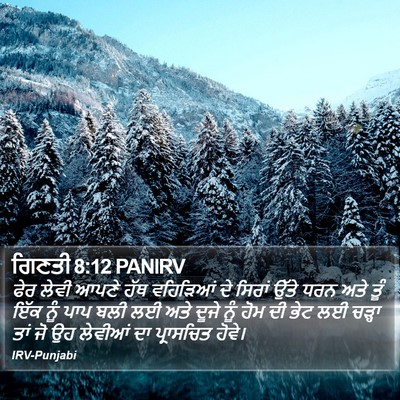 ਗਿਣਤੀ 8:12 PANIRV Bible Verse Image