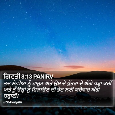 ਗਿਣਤੀ 8:13 PANIRV Bible Verse Image