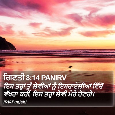 ਗਿਣਤੀ 8:14 PANIRV Bible Verse Image