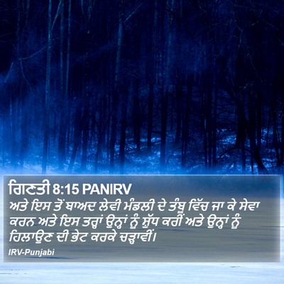 ਗਿਣਤੀ 8:15 PANIRV Bible Verse Image