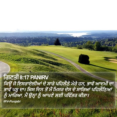 ਗਿਣਤੀ 8:17 PANIRV Bible Verse Image