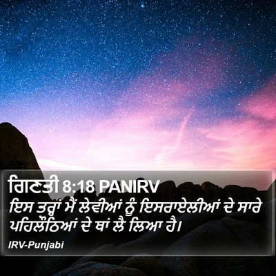 ਗਿਣਤੀ 8:18 PANIRV Bible Verse Image