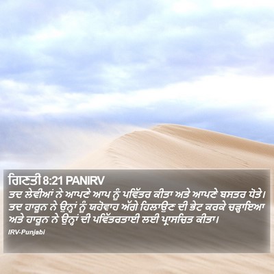 ਗਿਣਤੀ 8:21 PANIRV Bible Verse Image