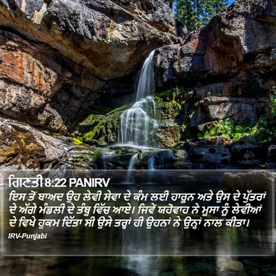 ਗਿਣਤੀ 8:22 PANIRV Bible Verse Image