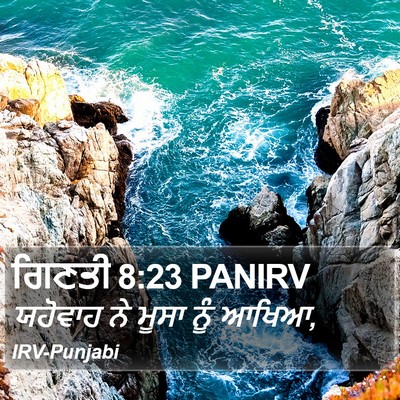 ਗਿਣਤੀ 8:23 PANIRV Bible Verse Image
