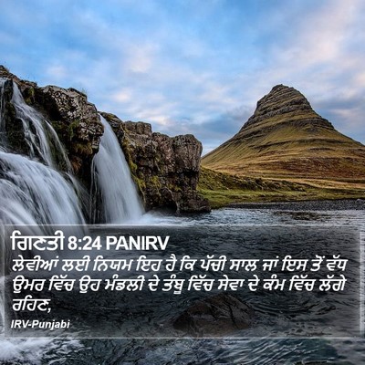 ਗਿਣਤੀ 8:24 PANIRV Bible Verse Image
