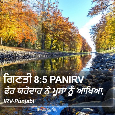 ਗਿਣਤੀ 8:5 PANIRV Bible Verse Image
