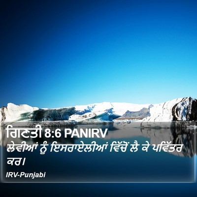ਗਿਣਤੀ 8:6 PANIRV Bible Verse Image