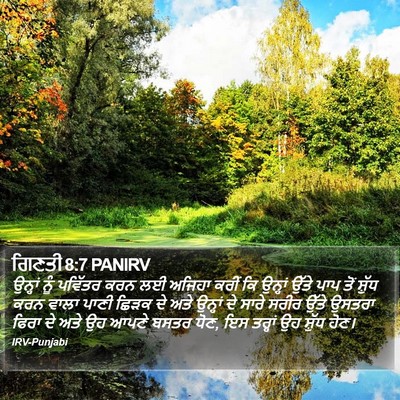 ਗਿਣਤੀ 8:7 PANIRV Bible Verse Image