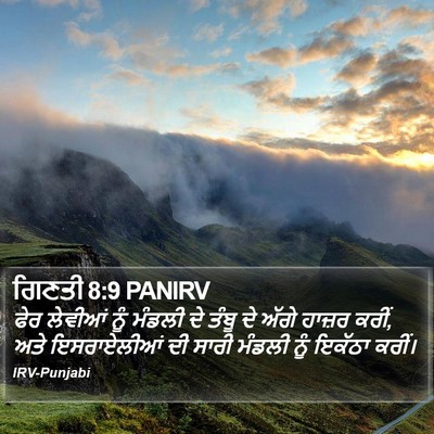 ਗਿਣਤੀ 8:9 PANIRV Bible Verse Image