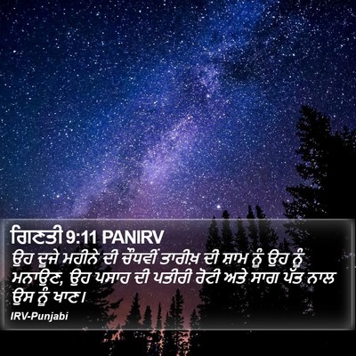 ਗਿਣਤੀ 9:11 PANIRV Bible Verse Image
