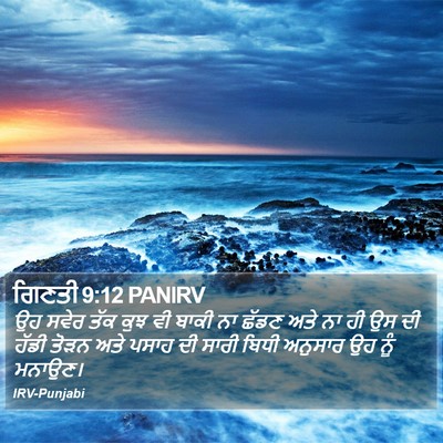 ਗਿਣਤੀ 9:12 PANIRV Bible Verse Image