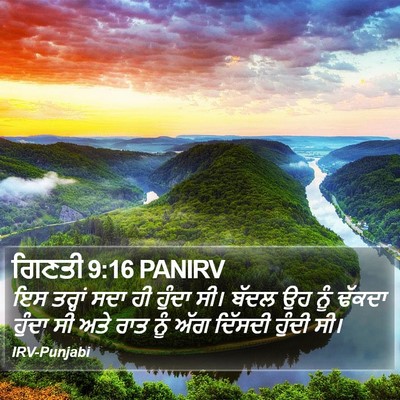 ਗਿਣਤੀ 9:16 PANIRV Bible Verse Image