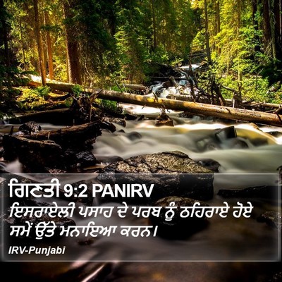 ਗਿਣਤੀ 9:2 PANIRV Bible Verse Image