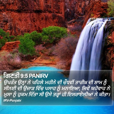 ਗਿਣਤੀ 9:5 PANIRV Bible Verse Image