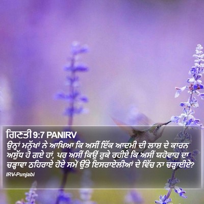 ਗਿਣਤੀ 9:7 PANIRV Bible Verse Image