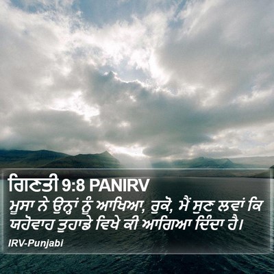 ਗਿਣਤੀ 9:8 PANIRV Bible Verse Image