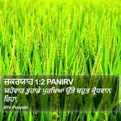 ਜ਼ਕਰਯਾਹ 1:2 PANIRV Bible Verse Image