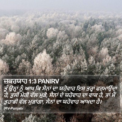 ਜ਼ਕਰਯਾਹ 1:3 PANIRV Bible Verse Image