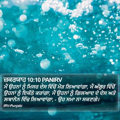 ਜ਼ਕਰਯਾਹ 10:10 PANIRV Bible Verse Image