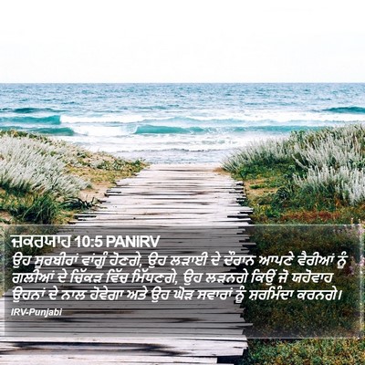 ਜ਼ਕਰਯਾਹ 10:5 PANIRV Bible Verse Image