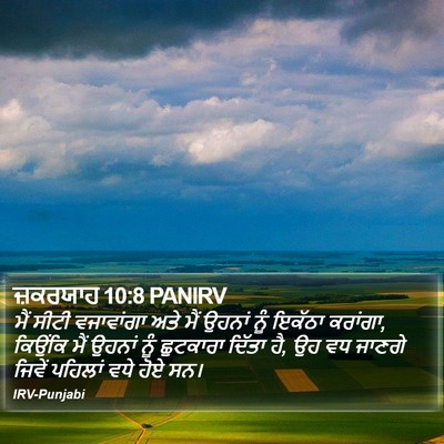 ਜ਼ਕਰਯਾਹ 10:8 PANIRV Bible Verse Image