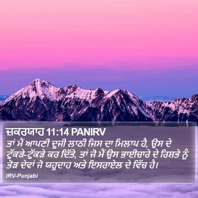 ਜ਼ਕਰਯਾਹ 11:14 PANIRV Bible Verse Image