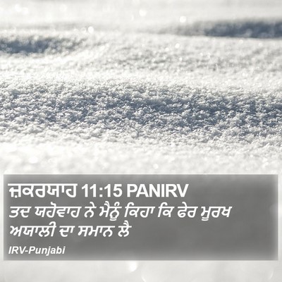 ਜ਼ਕਰਯਾਹ 11:15 PANIRV Bible Verse Image