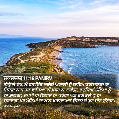 ਜ਼ਕਰਯਾਹ 11:16 PANIRV Bible Verse Image