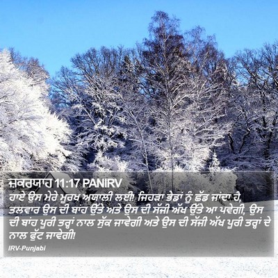 ਜ਼ਕਰਯਾਹ 11:17 PANIRV Bible Verse Image