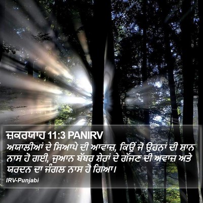 ਜ਼ਕਰਯਾਹ 11:3 PANIRV Bible Verse Image