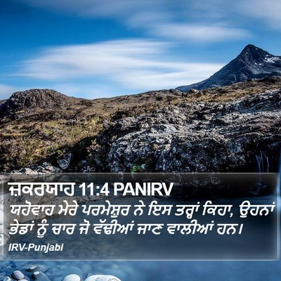 ਜ਼ਕਰਯਾਹ 11:4 PANIRV Bible Verse Image