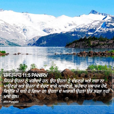 ਜ਼ਕਰਯਾਹ 11:5 PANIRV Bible Verse Image
