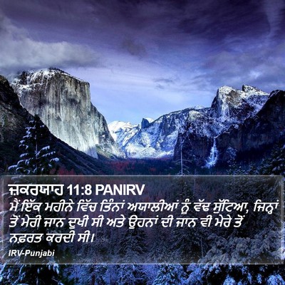 ਜ਼ਕਰਯਾਹ 11:8 PANIRV Bible Verse Image