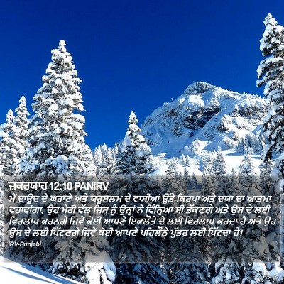 ਜ਼ਕਰਯਾਹ 12:10 PANIRV Bible Verse Image