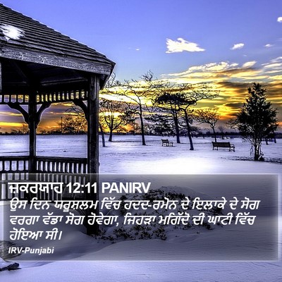 ਜ਼ਕਰਯਾਹ 12:11 PANIRV Bible Verse Image