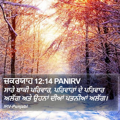 ਜ਼ਕਰਯਾਹ 12:14 PANIRV Bible Verse Image