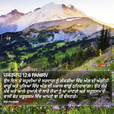 ਜ਼ਕਰਯਾਹ 12:6 PANIRV Bible Verse Image
