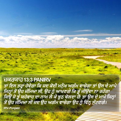 ਜ਼ਕਰਯਾਹ 13:3 PANIRV Bible Verse Image