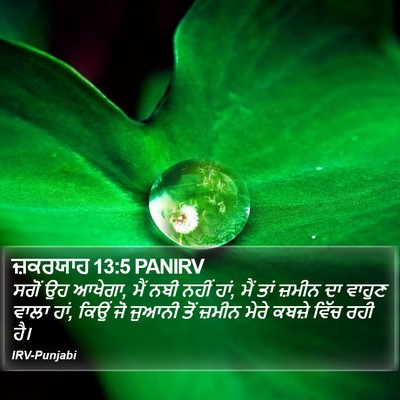 ਜ਼ਕਰਯਾਹ 13:5 PANIRV Bible Verse Image