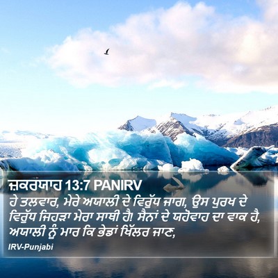 ਜ਼ਕਰਯਾਹ 13:7 PANIRV Bible Verse Image