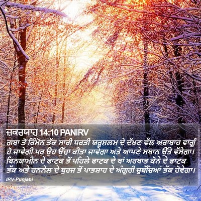 ਜ਼ਕਰਯਾਹ 14:10 PANIRV Bible Verse Image