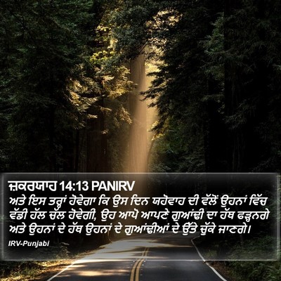 ਜ਼ਕਰਯਾਹ 14:13 PANIRV Bible Verse Image