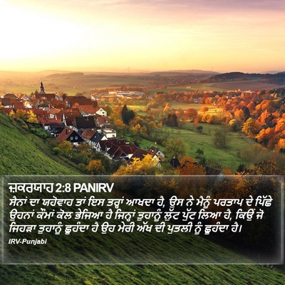 ਜ਼ਕਰਯਾਹ 2:8 PANIRV Bible Verse Image