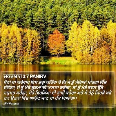 ਜ਼ਕਰਯਾਹ 3:7 PANIRV Bible Verse Image