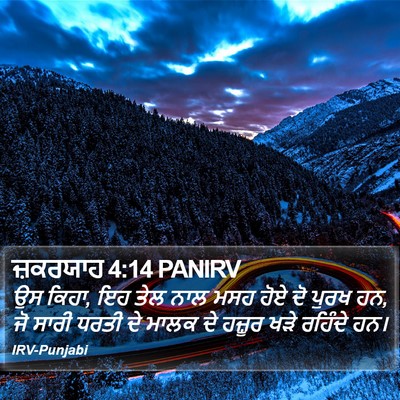 ਜ਼ਕਰਯਾਹ 4:14 PANIRV Bible Verse Image