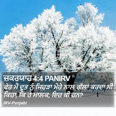 ਜ਼ਕਰਯਾਹ 4:4 PANIRV Bible Verse Image