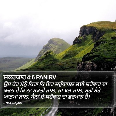 ਜ਼ਕਰਯਾਹ 4:6 PANIRV Bible Verse Image