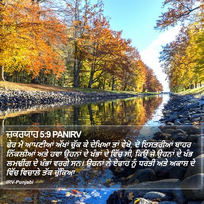 ਜ਼ਕਰਯਾਹ 5:9 PANIRV Bible Verse Image