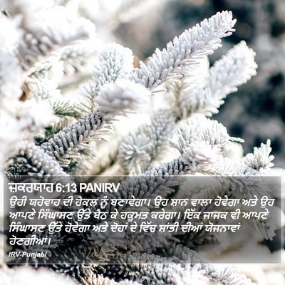 ਜ਼ਕਰਯਾਹ 6:13 PANIRV Bible Verse Image